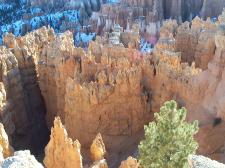 Wall Street, Bryce Canyon National Park