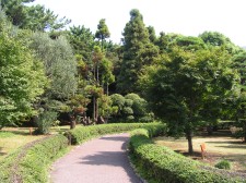 Symbolic Prefectural Trees