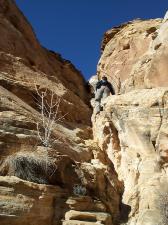 Nils climbing on Capitol Gorge trail